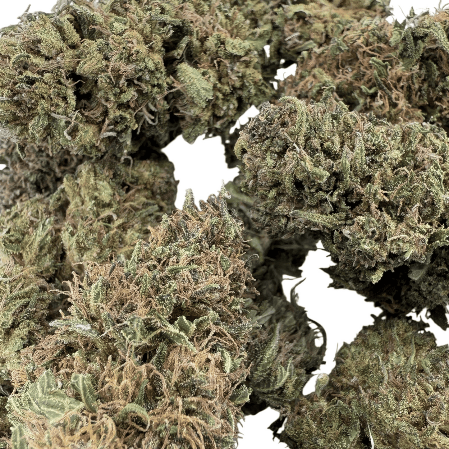 SOUR DIESEL - FLEUR DE CBD BIO