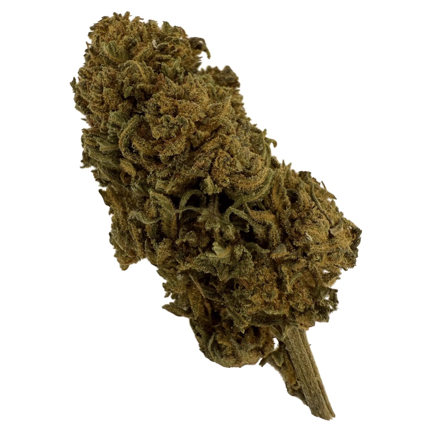 STRAWBERRY - FLEUR DE CBD BIO les plantes de tomine