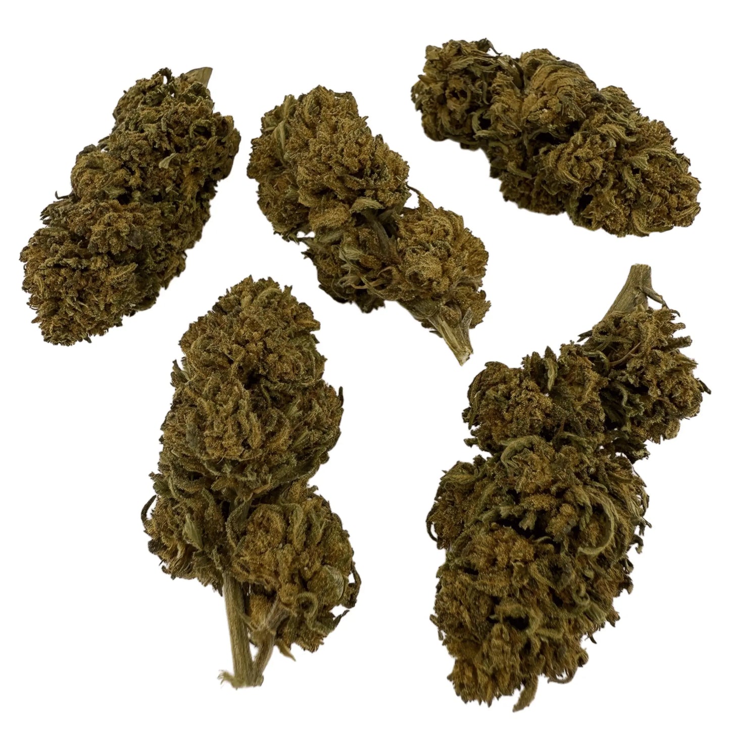 STRAWBERRY - FLEUR DE CBD BIO les plantes de tomine