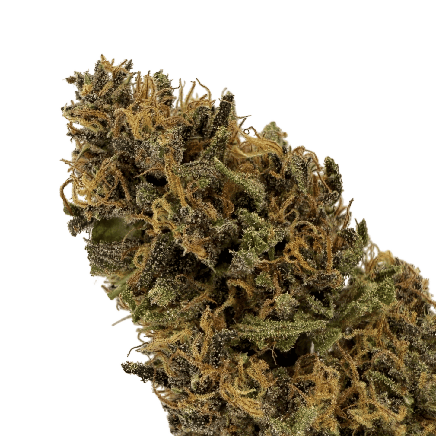 WHITE WIDOW – BIO-CBD-BLÜTE
