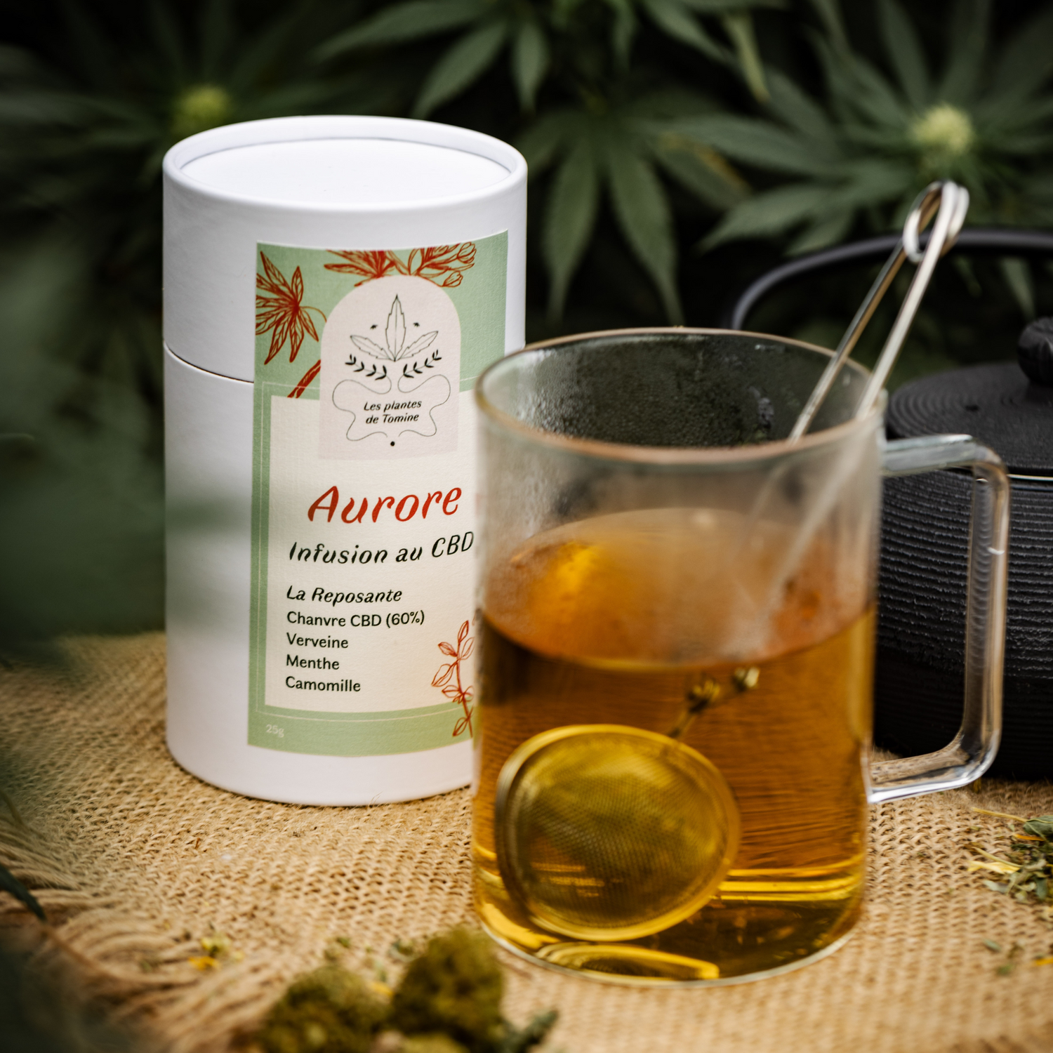 Infusions au CBD biologique (Amour de Chanvre)