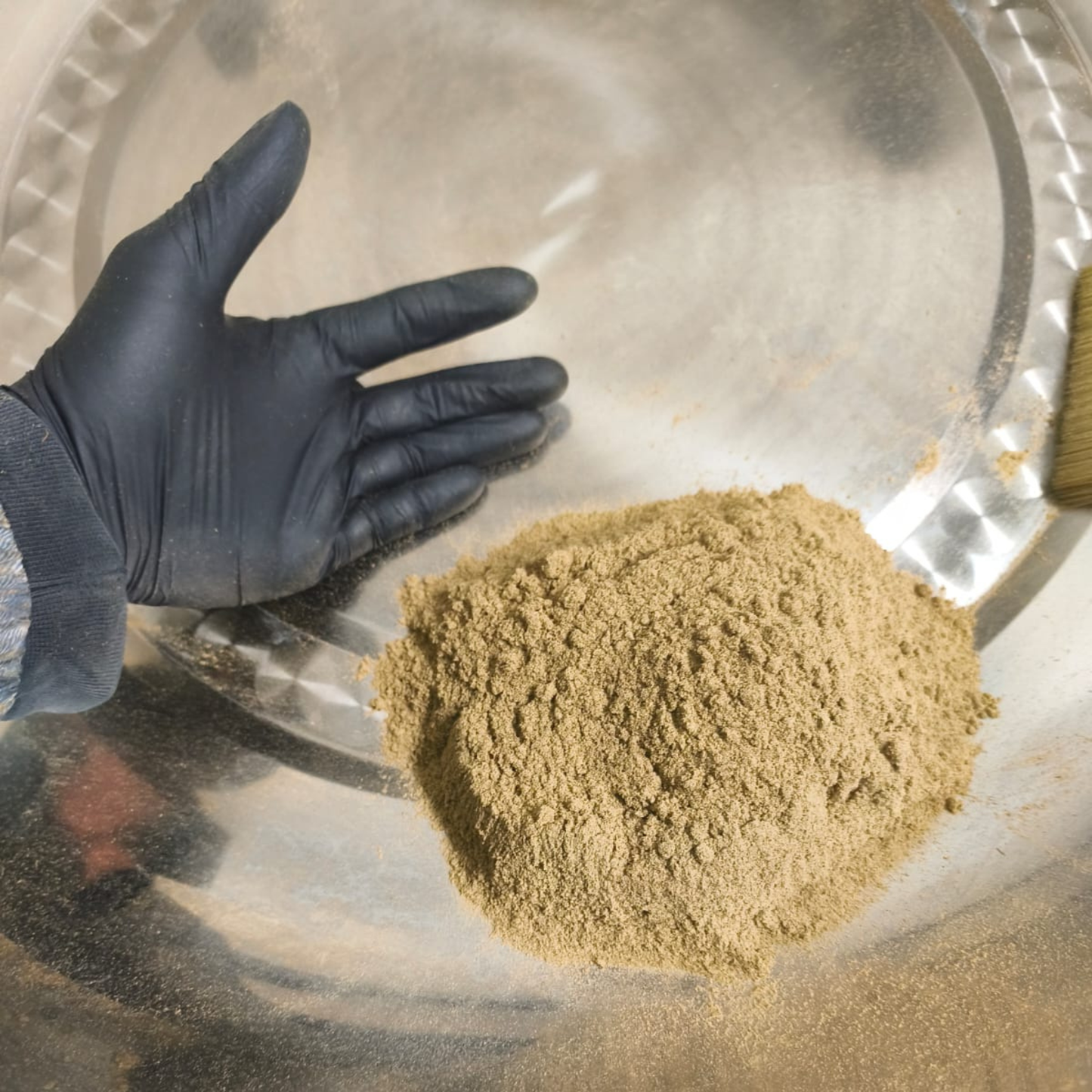 PINEAPPLE SAUVAGE - RÉSINE DE CBD (DRY SIFT)