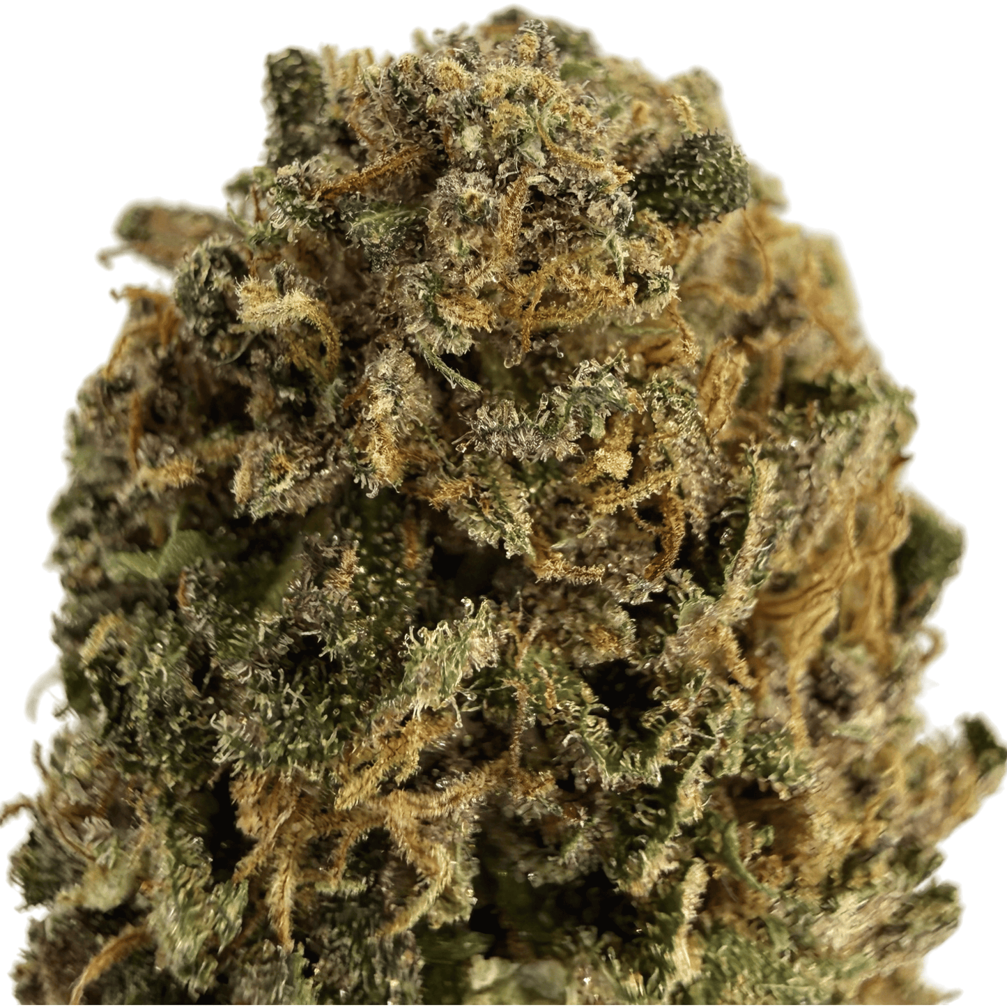 SWEET CREAM - FLEUR DE CBD ORGANIQUE