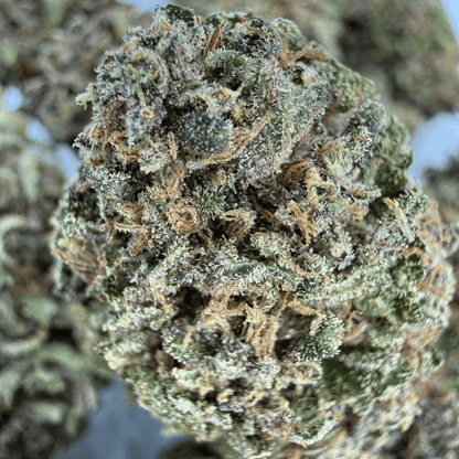 SWEET CREAM - FLEUR DE CBD ORGANIQUE