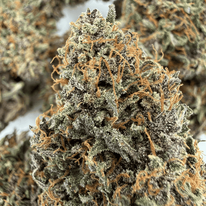 AKATSUKI - FLEUR DE CBD - INDOOR