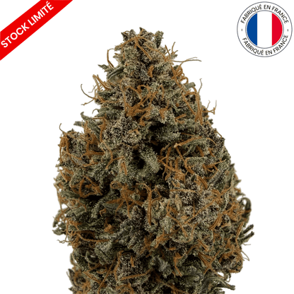 Akatsuki - Fleur de CBD Indoor (Amour de Chanvre)