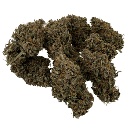 AKATSUKI - FLEUR DE CBD - INDOOR