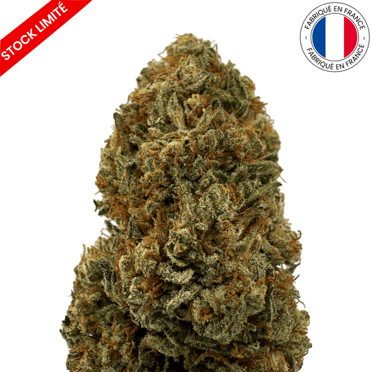 Allium Og - Fleur de CBD - Light Dep -(Amour de Chanvre)