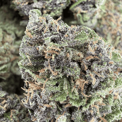 AMNESIA - FLEUR DE CBD ORGANIQUE