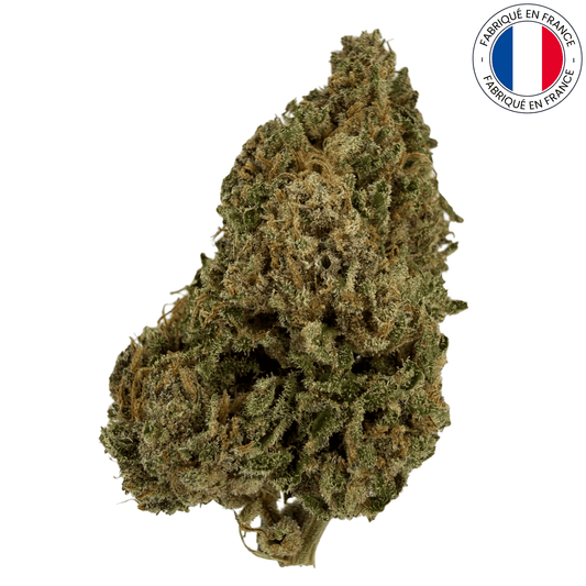 AMNESIA - FLEUR DE CBD ORGANIQUE
