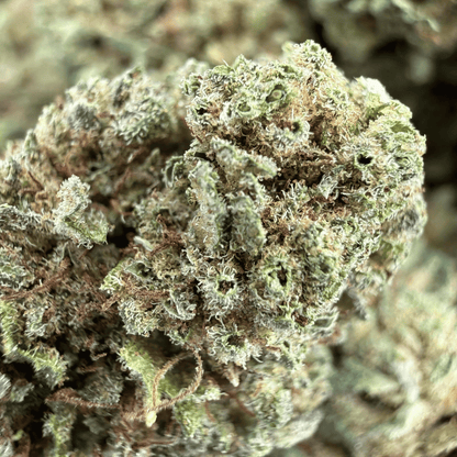 AMNESIA – BIO-CBD-BLÜTE