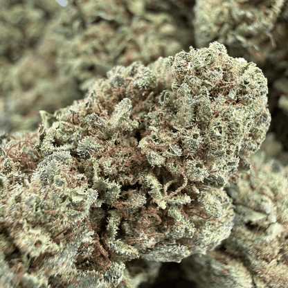 AMNESIA – BIO-CBD-BLÜTE