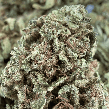 AMNESIA – BIO-CBD-BLÜTE