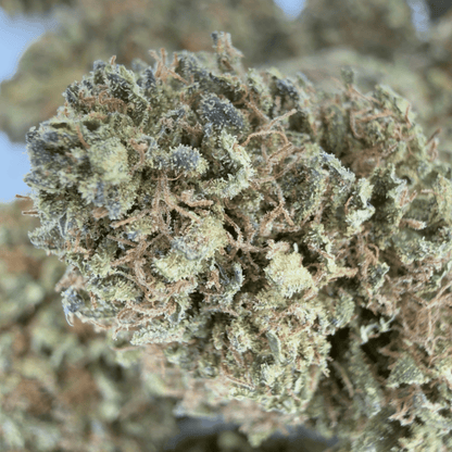 PASTEL DE ÁNGEL - FLOR DE CBD ORGÁNICA