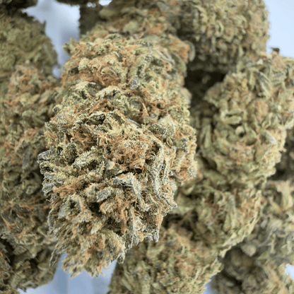 PASTEL DE ÁNGEL - FLOR DE CBD ORGÁNICA