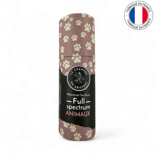 MACÉRÂT HUILEUX DE CBD BIO AU SAUMON POUR ANIMAUX (Amour de Chanvre)