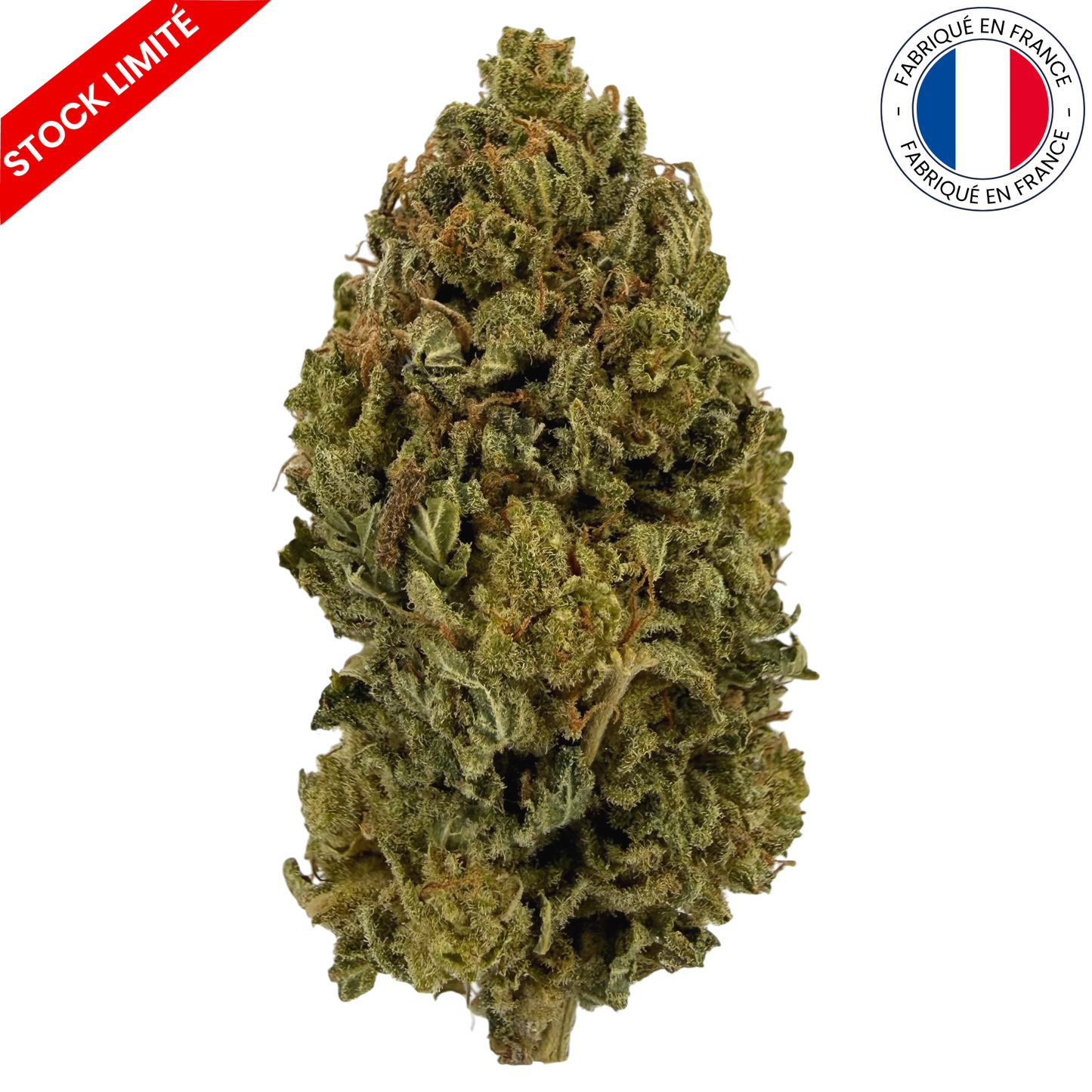 FLEUR DES CÉVENNES – FLEURS DE CBD - INDOOR