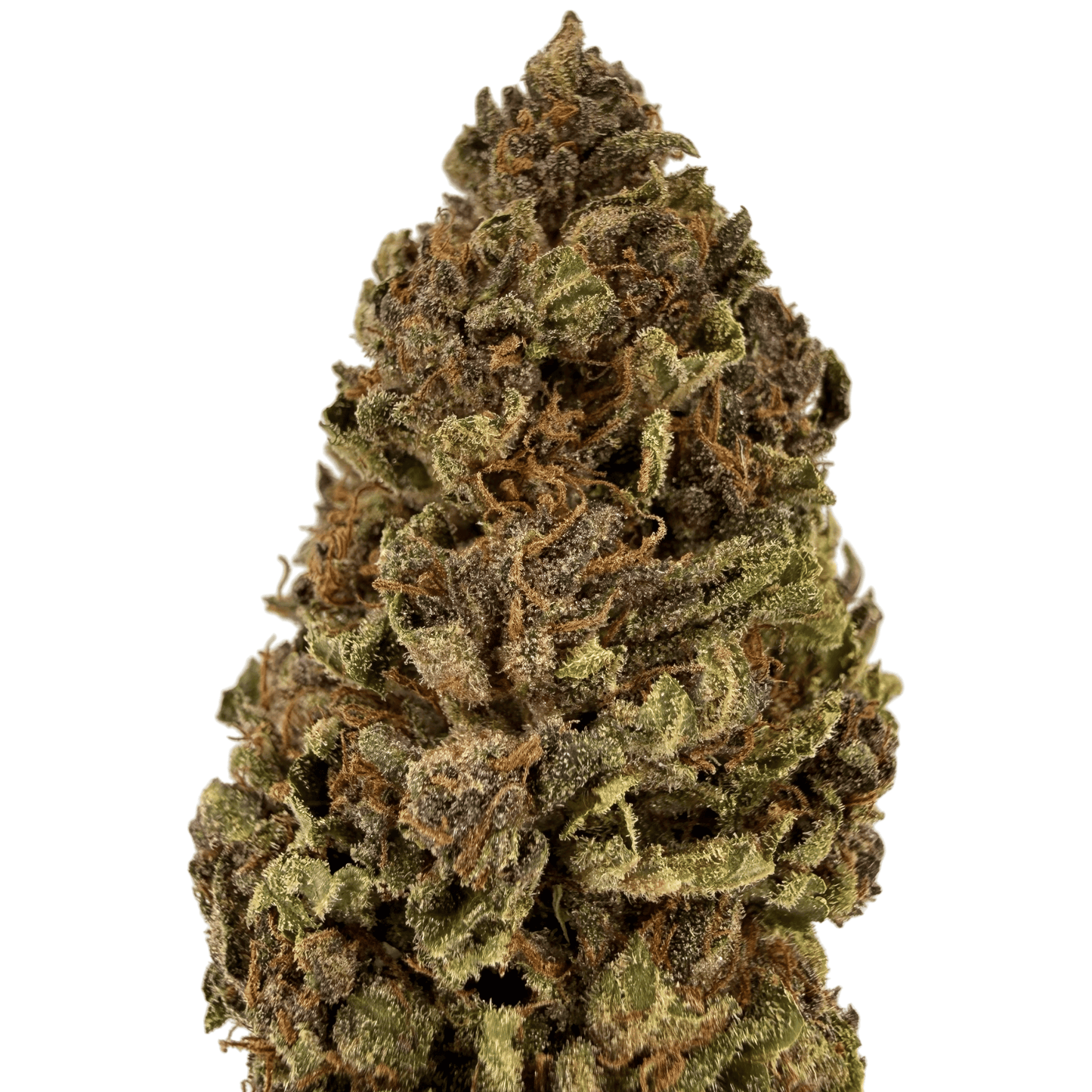 ARDÈCH'OZ - FLEUR DE CBD BIO