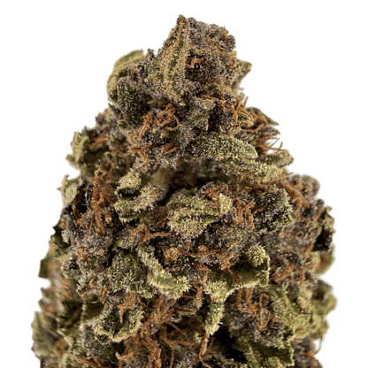 ARDÈCH'OZ - FLEUR DE CBD BIO