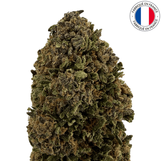 Banana Daiquiri - Fleur de CBD bio (Amour de Chanvre)