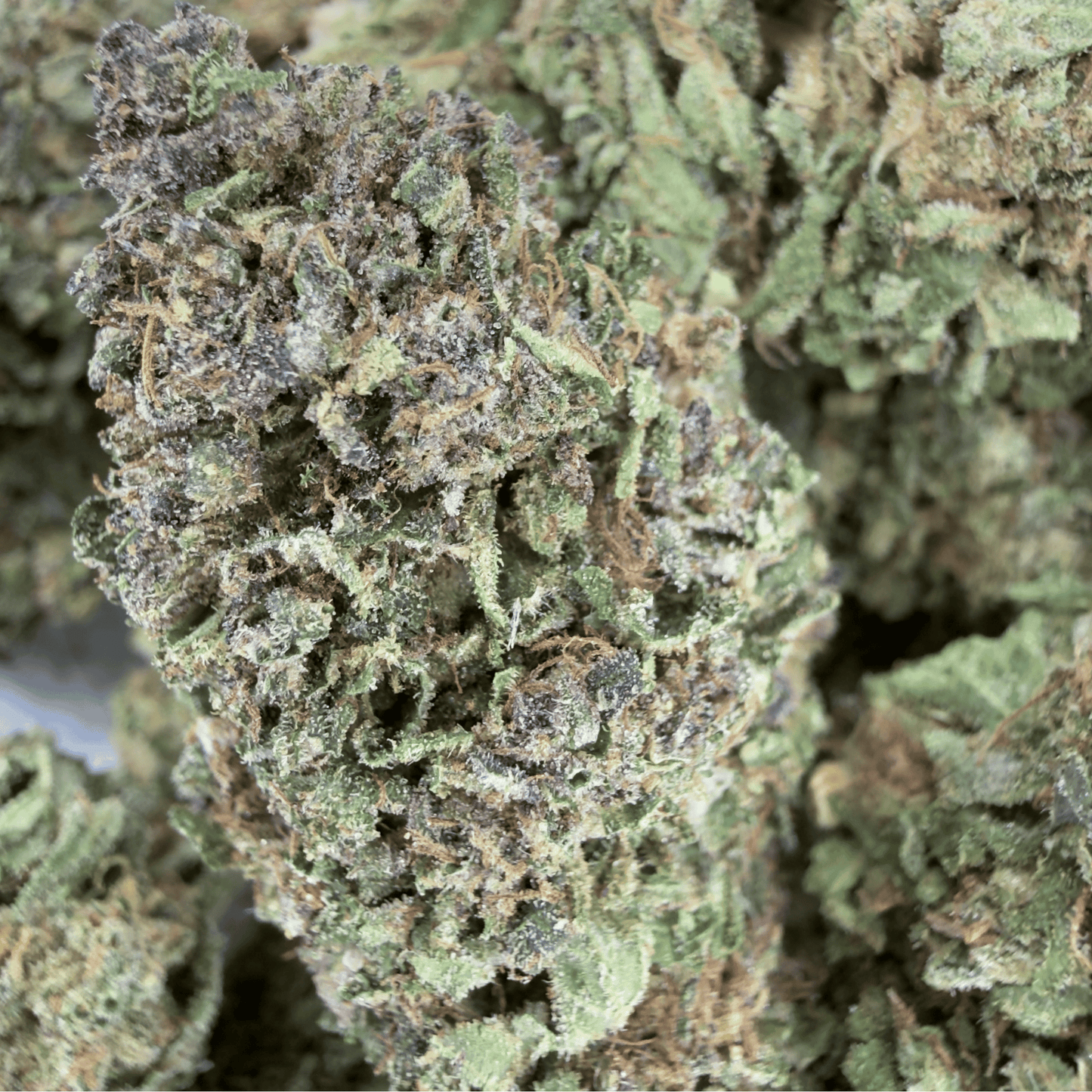 BANANA DAIQUIRI - FLEUR DE CBD BIO