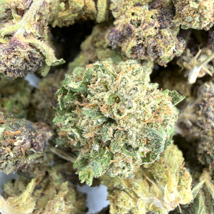 CAP ESTUAIRE – PETITES FLEURS DE CBD BIO