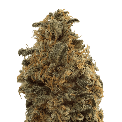 BANANA YAK - FLEUR DE CBD - INDOOR