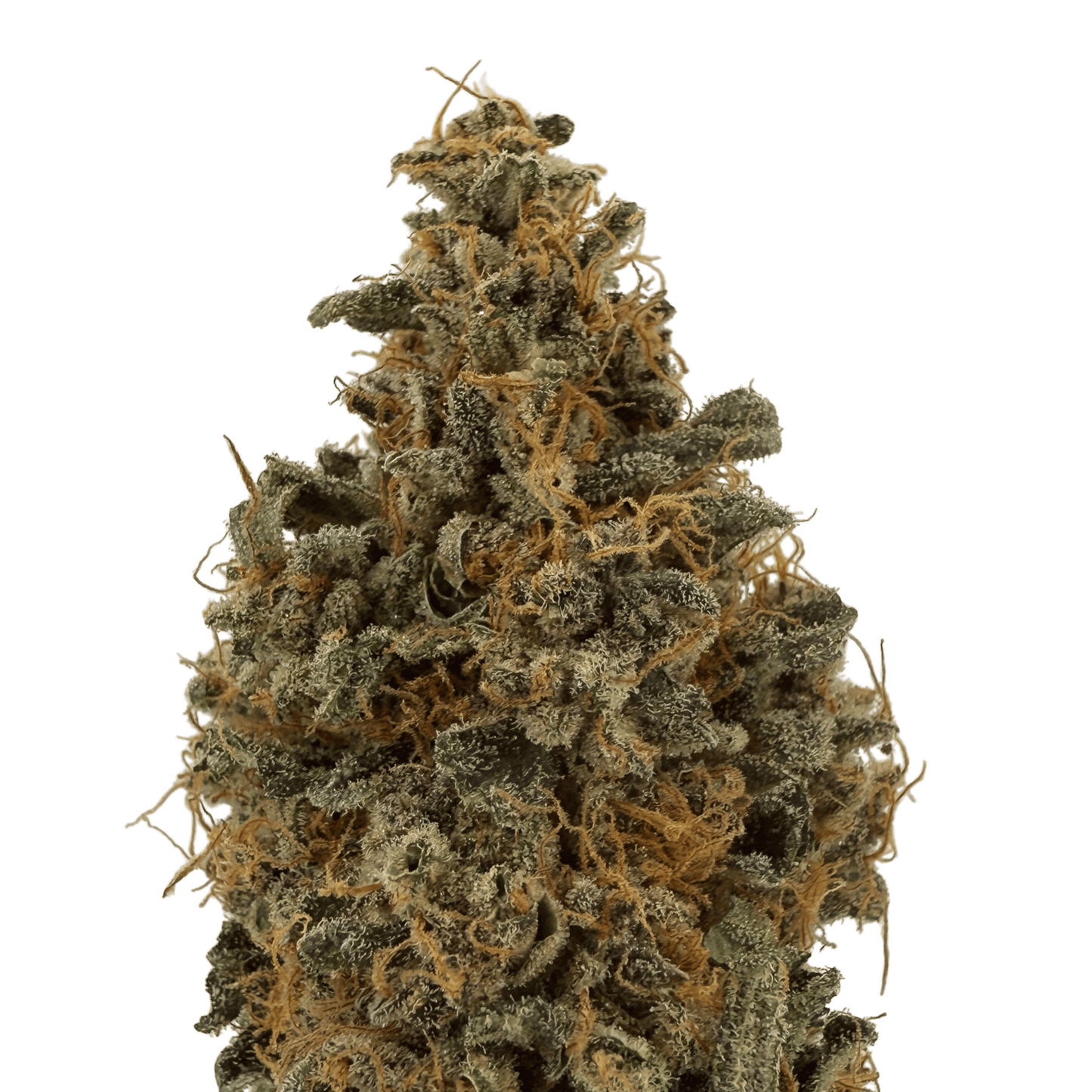 BANANA YAK - FLEUR DE CBD - INDOOR