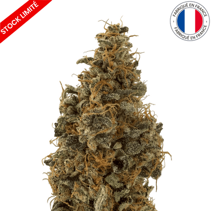 Banana Yak - Fleur de CBD Indoor (Amour de Chanvre)