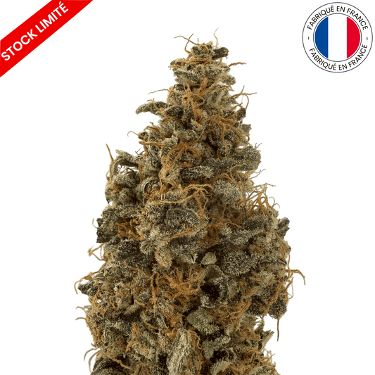 Banana Yak - Fleur de CBD Indoor (Amour de Chanvre)
