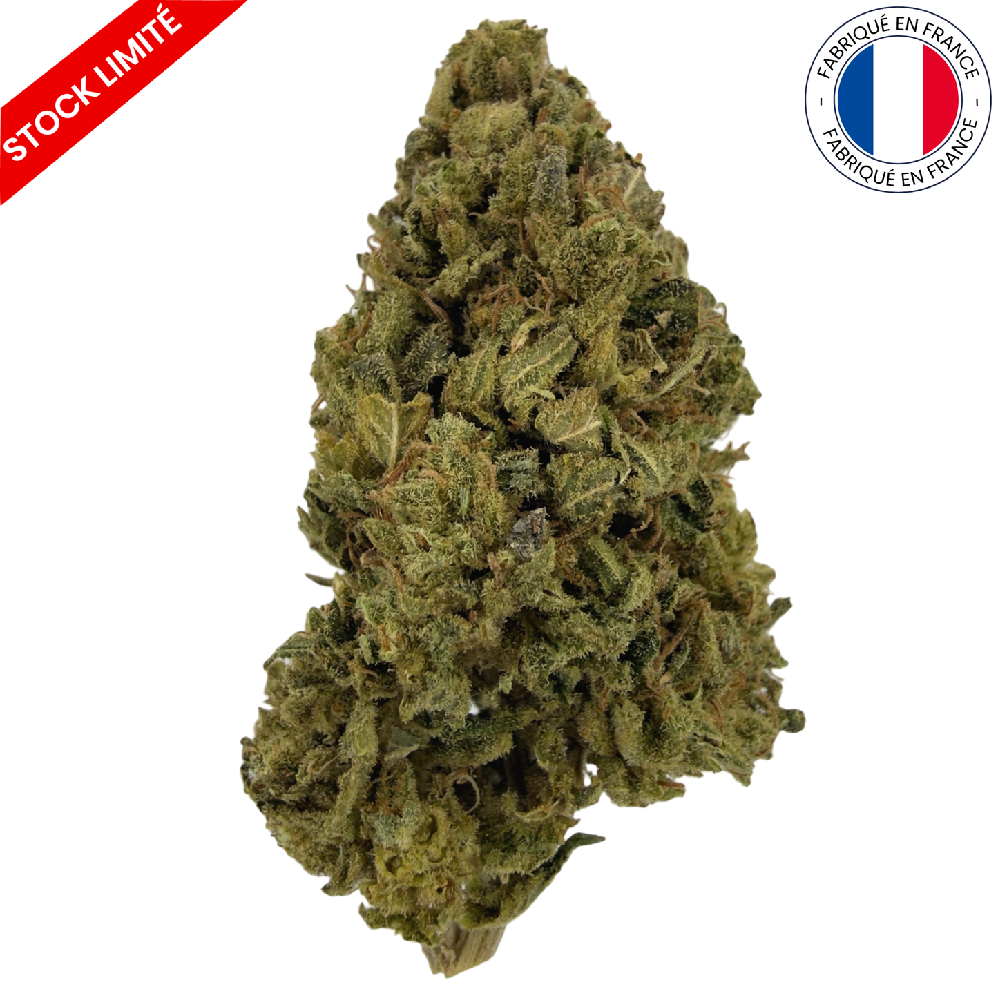 FLEUR DES CÉVENNES – FLEURS DE CBD - INDOOR