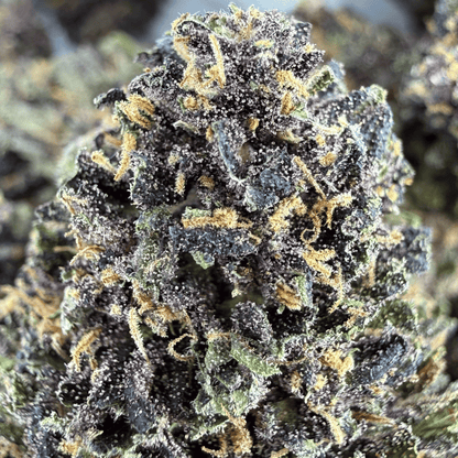BLACK BUDDHA - FLEUR DE CBD BIO