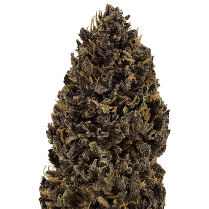 BLACK BUDDHA - FLEUR DE CBD BIO