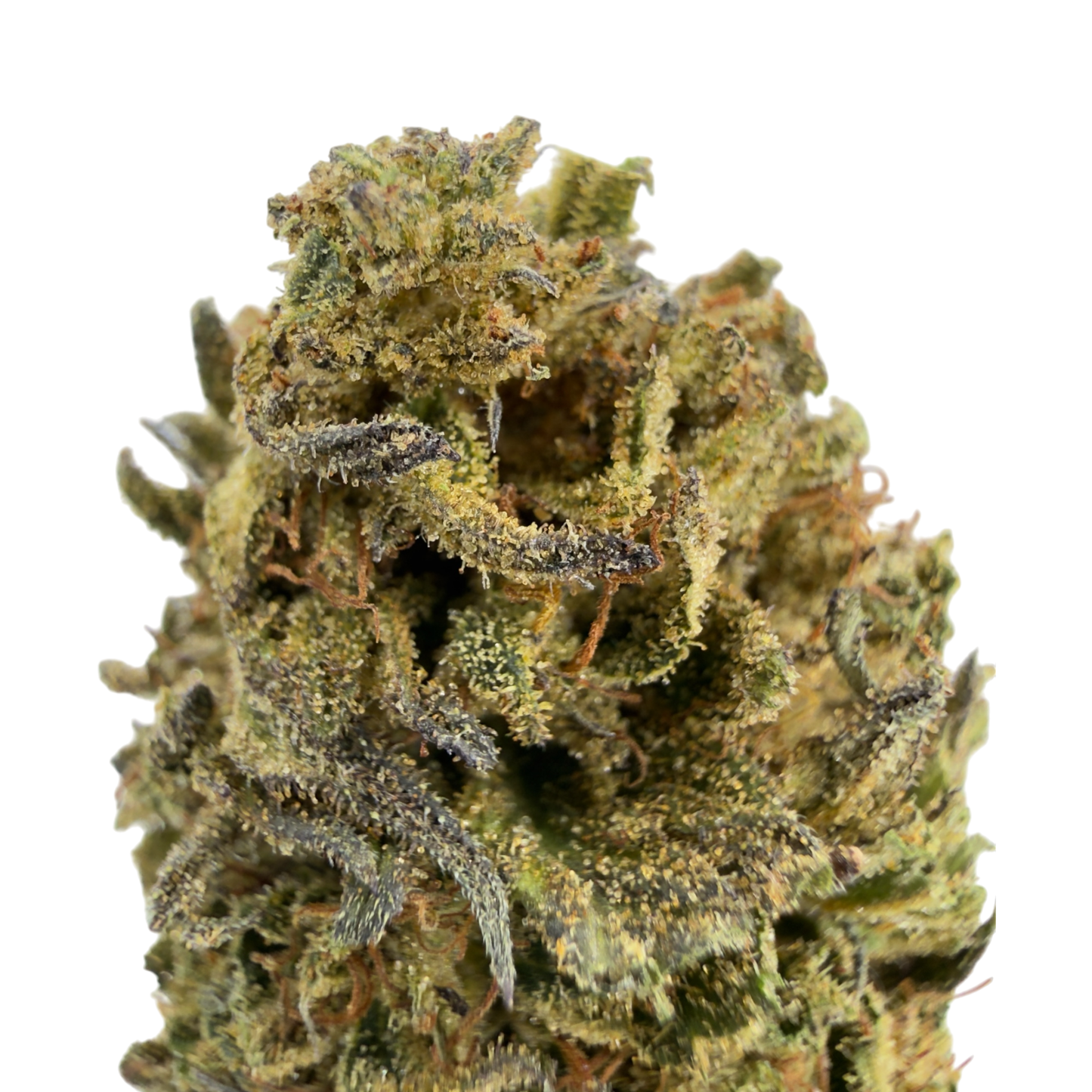 BLOOD ORANGE - FLEUR DE CBD ORGANIQUE