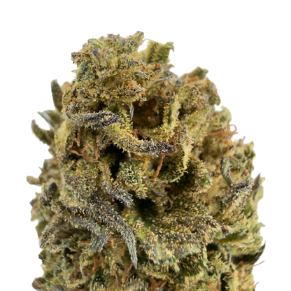 BLOOD ORANGE - FLEUR DE CBD ORGANIQUE
