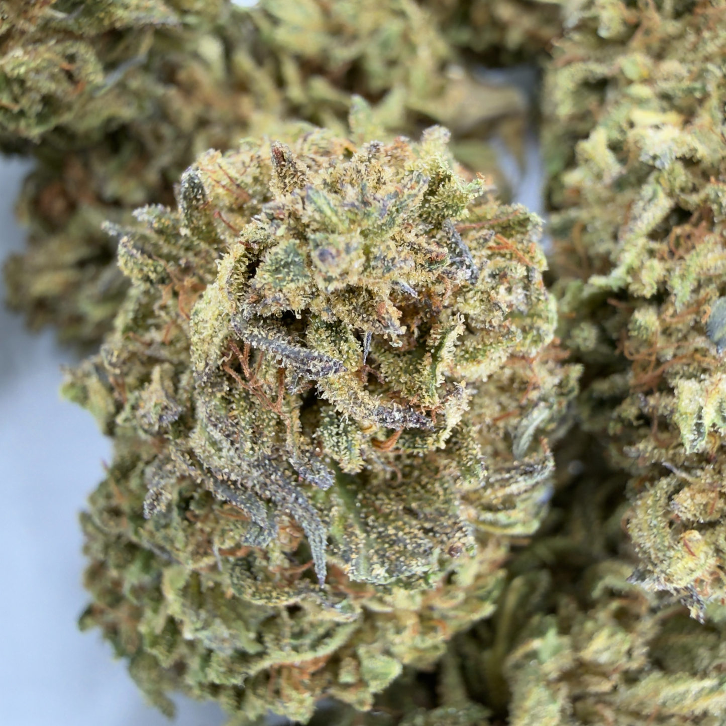 BLOOD ORANGE - FLEUR DE CBD ORGANIQUE