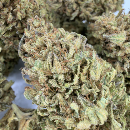 BLOOD ORANGE - FLEUR DE CBD ORGANIQUE