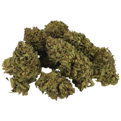 BLOOD ORANGE - FLEUR DE CBD ORGANIQUE