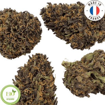 BLUE MERINGUE - fleur de cbd bio (Les botanistes en herbe)