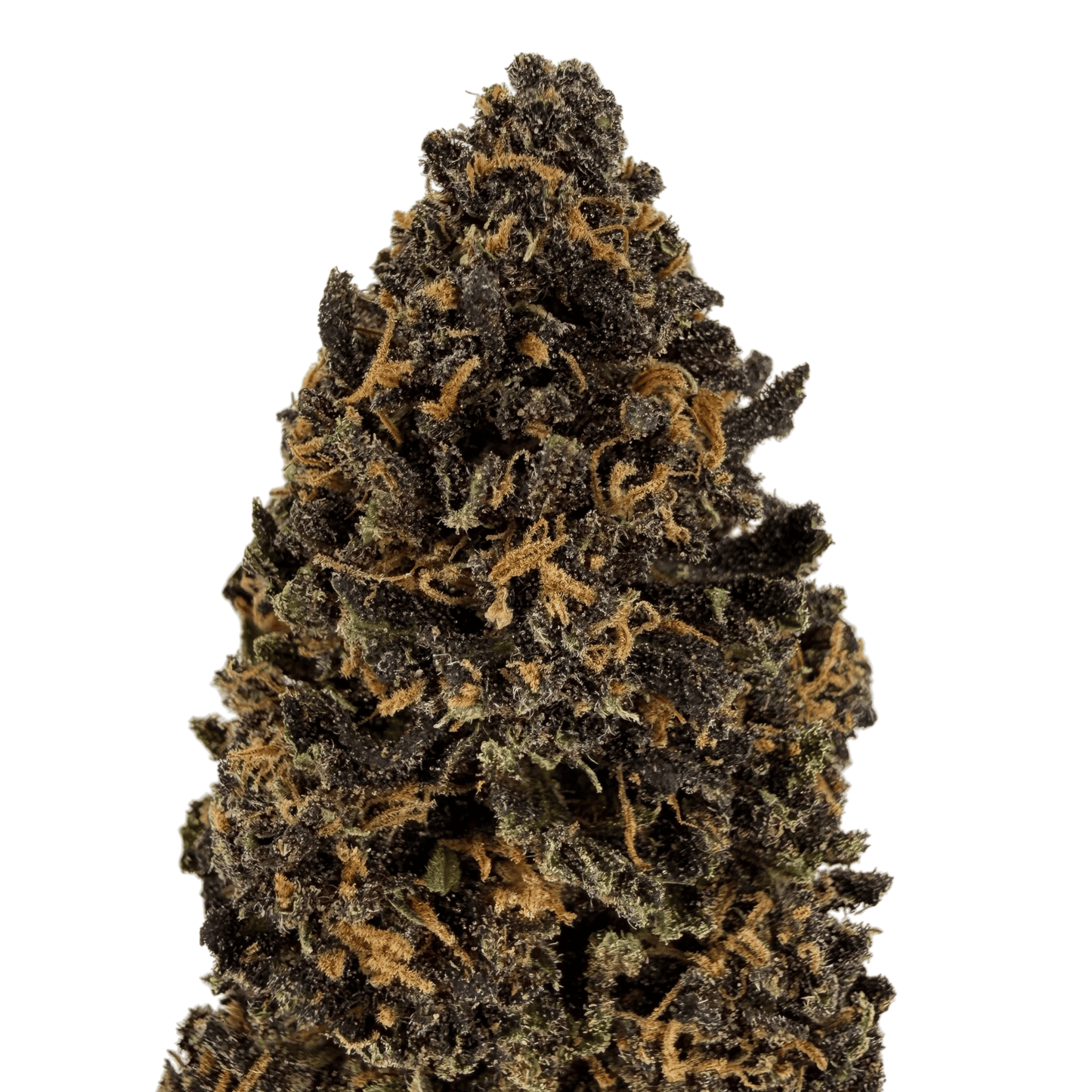 BLUE MERINGUE - FLEUR DE CBD BIO