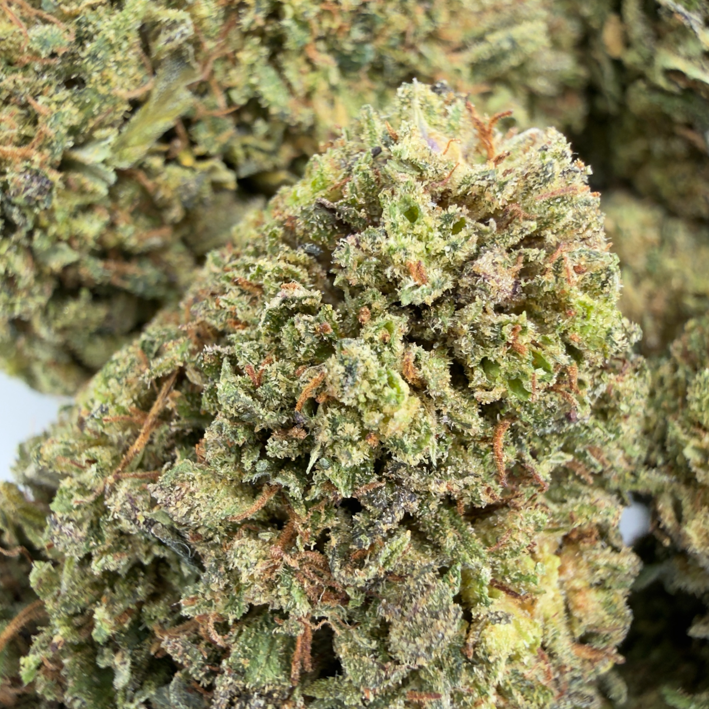 BLUEBERRY MUFFIN - FLEUR DE CBD BIO