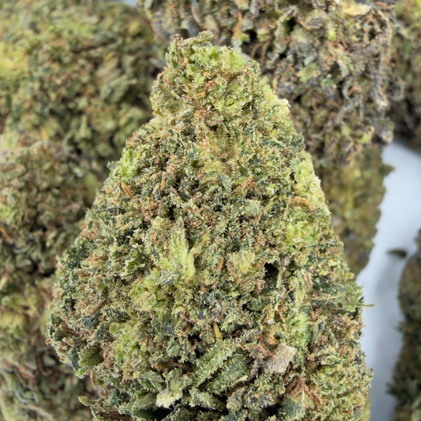 BLUEBERRY MUFFIN - FLEUR DE CBD BIO