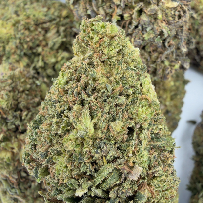 BLUEBERRY MUFFIN - FLEUR DE CBD BIO
