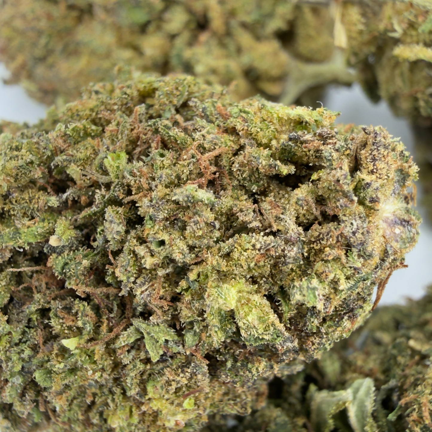 BLUEBERRY MUFFIN - FLEUR DE CBD BIO