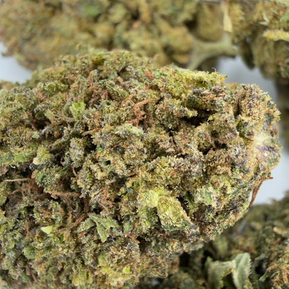 BLUEBERRY MUFFIN - FLEUR DE CBD BIO