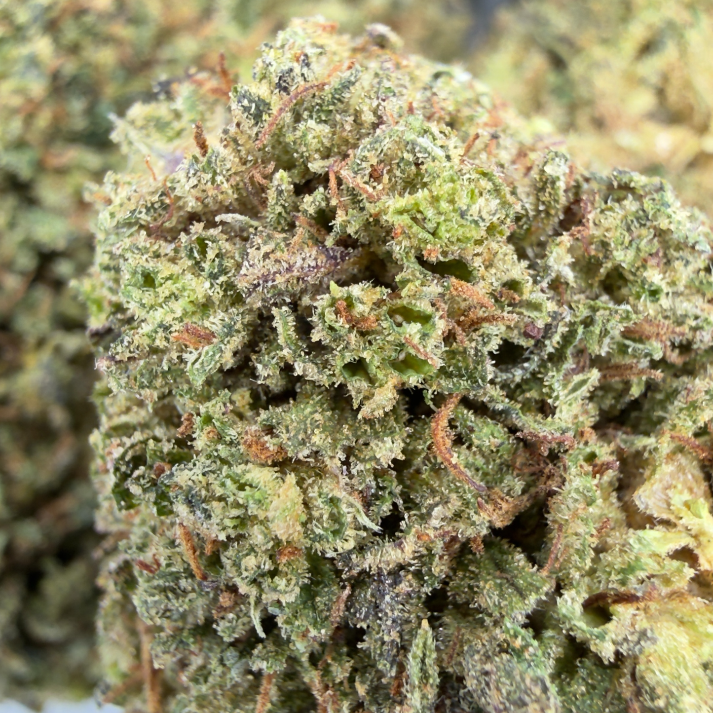 BLUEBERRY MUFFIN - FLEUR DE CBD BIO