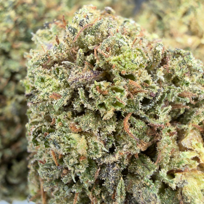 BLUEBERRY MUFFIN - FLEUR DE CBD BIO
