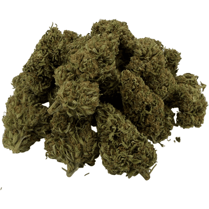 BLAUBEERE – BIO-CBD-BLÜTE