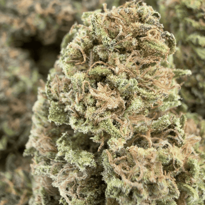 BLUE CHEESE - FLEUR DE CBD BIO