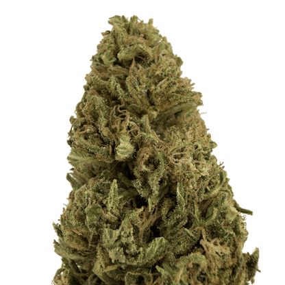 BLUE CHEESE - FLEUR DE CBD BIO